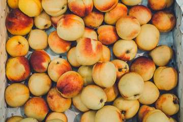 sale of fruit nectarines background texture tinted photo