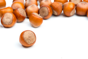 Hazelnuts isolated on white background - Image