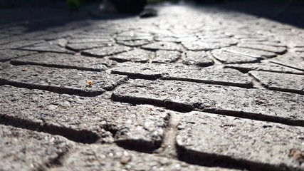 old stone tiled floor on a sunny street, side view.