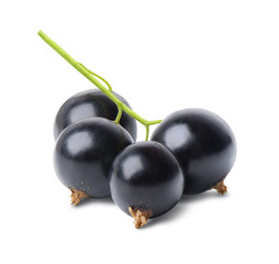 Black currant isolated