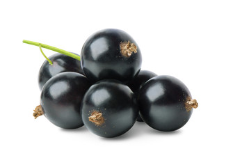 Black currant berries isolated - obrazy, fototapety, plakaty