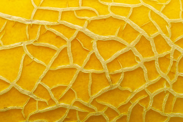 meloen textuur achtergrond close-up macro