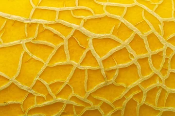 Crédence de cuisine en verre imprimé Photographie macro melon texture fond gros plan macro