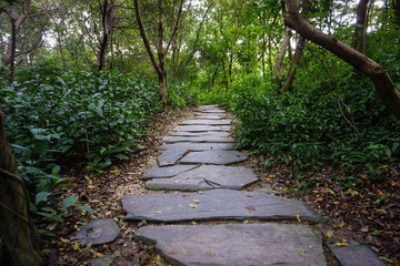 Natural stone walkway in the park