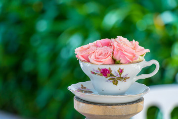 red roses in a porcelain cup of tea