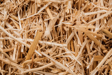 Straw Hay