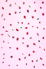 Colourful bright pattern made of natural berries on pink background. Top view. Summer red lingonberry pattern