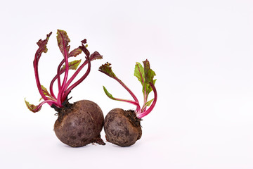 Fresh Beetroot tubers with leaves