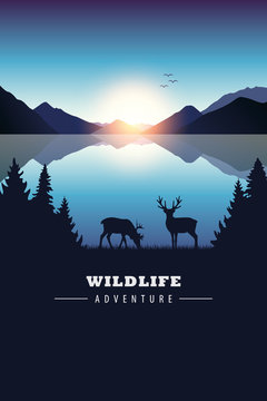 wildlife adventure elk in the wilderness blue lake at sunset vector illustration EPS10