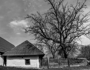 Traditional old house in the rural village of Rametea (Torocko), Alba County, Transylvania region, Romania