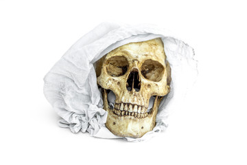 Skull with a veil isolated on white background.