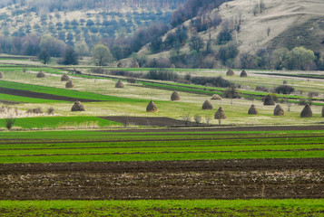 Fototapeta na wymiar Agricultural fields near the rural village of Coltesti, Alba County, Transylvania region, Romania. 