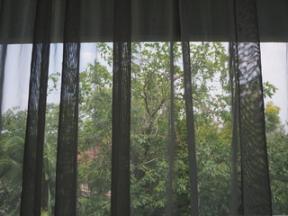  Thin curtains overlooking the tree.