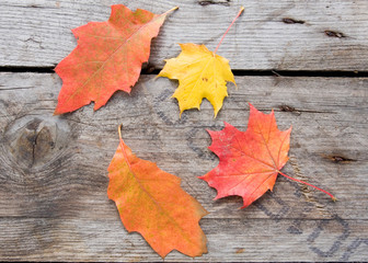 Naklejka na ściany i meble Herbstblätter auf Tisch