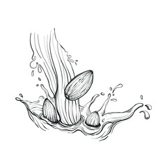 Illustration Hand drawn Almond milk splash with Almond seeds, monochrome ink style vector eps10.