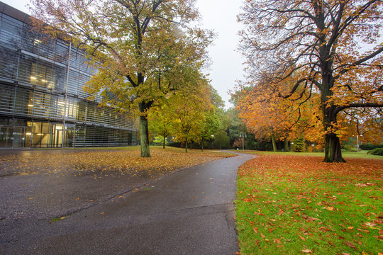 Orange grass  near  BAUER head office    building. Autumn