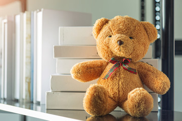 Cute teddy bear learning a books on shelf.