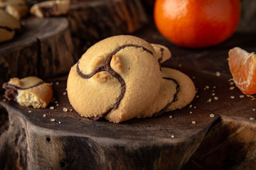 Сhocolate nut biscuit. Crispy and crumbly delicious cookies with natural ingredients: flour, nuts, seeds, pieces of chocolate, cocoa, fruit jams. Stylish still life for poster.