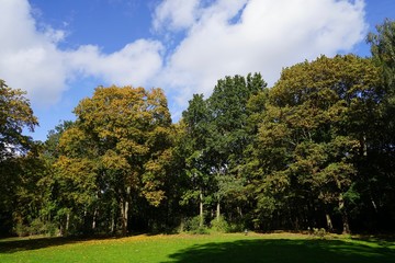 Sonnige Parklandschaft im Herbst