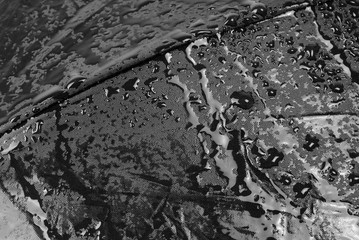 toile de parapluie et noire mouillée, gros-plan