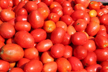 Abbottabad, Fresh tomato sale in the market. 