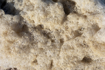 Meeresschaum