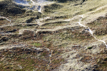 Dünenlandschaft von oben