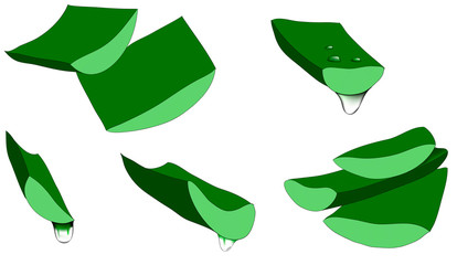 Set of aloe vera with cut pieces with fresh drops of water isolated illustration