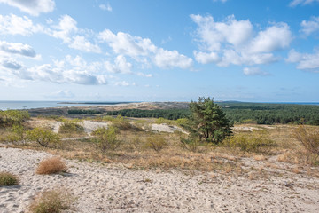 Hohe Düne in Nida Nidden auf der kurischen Nehrung in Litauen
