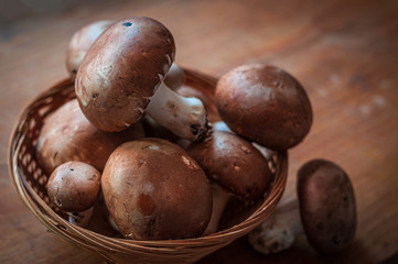 Paris  or portobello mushrooms.