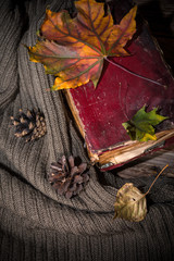Autumn still life with fallen leaves and sweater on wooden background