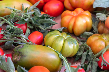 Heap of fresh tomatoes