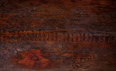 Old wooden background. Structure of a tree. Abstract wood texture.  Wallpaper. 