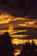 Fototapeta premium Cielo 1