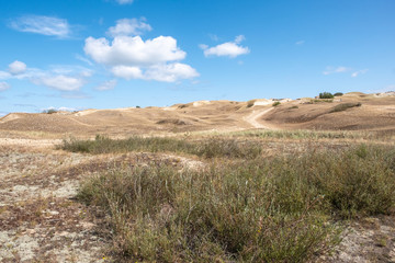 Vecekrugas Düne auf der Kurischen Nehrung in Litauen in der Nähe von Nida