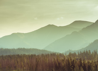 Fototapeta na wymiar Mountain landscape - misty hills, forest