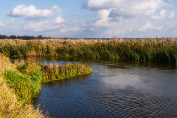 Narwiański Park Narodowy, Bokiny, Podlasie, Polska © podlaski49