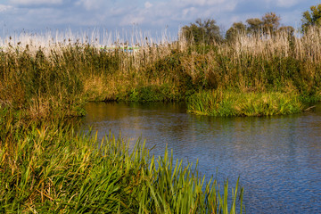 Narwiański Park Narodowy, Bokiny, Podlasie, Polska © podlaski49