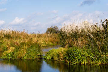 Narwiański Park Narodowy, Bokiny, Podlasie, Polska © podlaski49