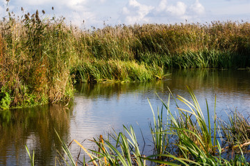 Narwiański Park Narodowy, Bokiny, Podlasie, Polska