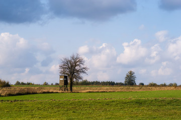 Narwiański Park Narodowy, Bokiny, Podlasie, Polska © podlaski49