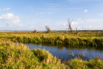 Narwiański Park Narodowy, Bokiny, Podlasie, Polska © podlaski49