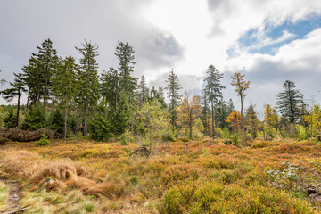 Tour im Bayerischen Wald zum Mühlriegel und Ödriegel