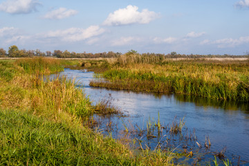 Narwiański Park Narodowy, Bokiny, Podlasie, Polska © podlaski49