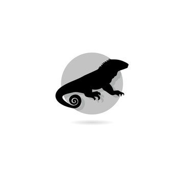 Chameleon icon isolated on white background