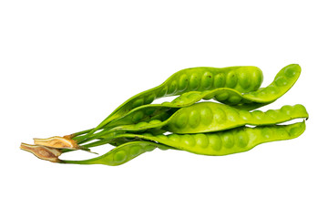 Closeup image of asian bitter green beans known as twisted cluster bean isolated at white background.