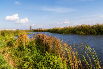Narwiański Park Narodowy, Bokiny, Podlasie, Polska © podlaski49