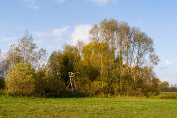 Narwiański Park Narodowy, Bokiny, Podlasie, Polska © podlaski49
