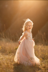Portrait of a beautiful little princess girl in a pink dress. Posing in a field at sunset