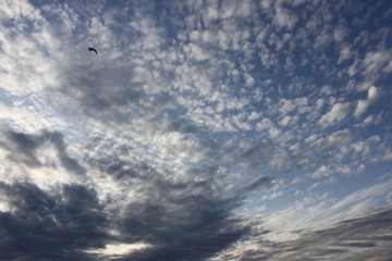 blue sky with clouds
